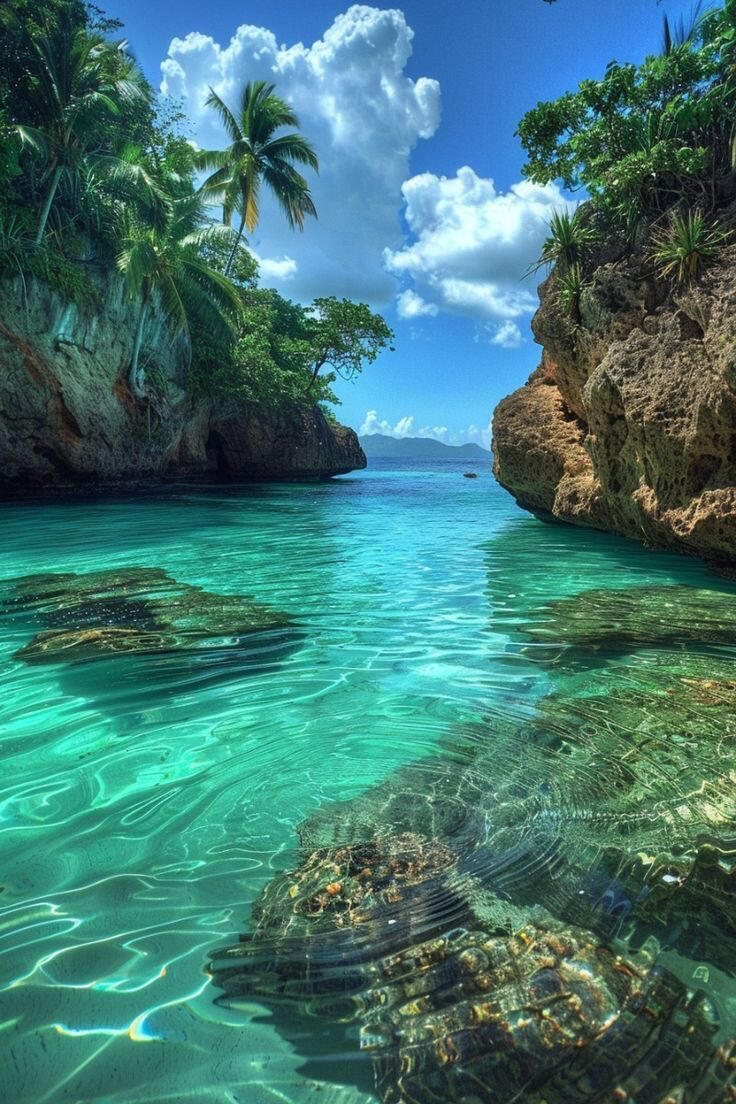 CARIBBEAN Escape to paradise 🌴