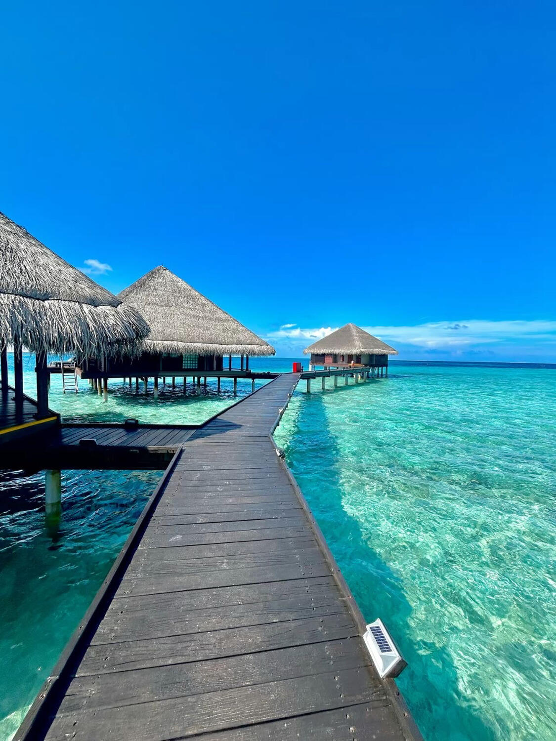 Paradise awaits ๐